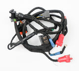 Rotax Max EVO Wiring Loom / Harness