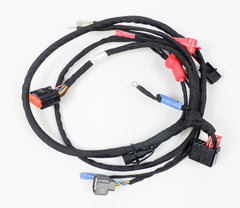 Rotax Max EVO Wiring Loom / Harness