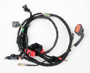 Rotax Max EVO Wiring Loom / Harness