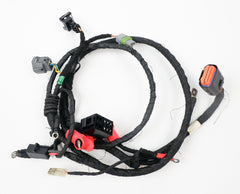 Rotax Max EVO Wiring Loom / Harness