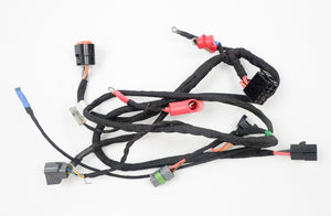 Rotax Max EVO Wiring Loom / Harness