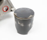 Senior Rotax Max EVO Engine Cylinder / Barrel with Matching Piston