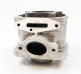Senior Rotax Max EVO Engine Cylinder / Barrel with Matching Piston