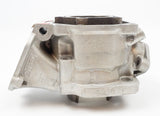 Senior Rotax Max EVO Engine Cylinder / Barrel with Matching Piston