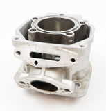 Senior Rotax Max EVO Engine Cylinder / Barrel with Matching Piston