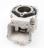 Senior Rotax Max EVO Engine Cylinder / Barrel with Matching Piston