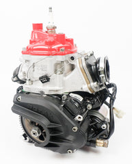 Junior Rotax Max EVO JAG Sealed 8624 Engine LS Cylinder