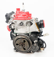 Senior Rotax Max EVO JAG Sealed Engine with New Style Cylinder