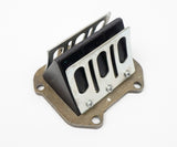 Genuine Rotax Max EVO Reed Valve Assembly