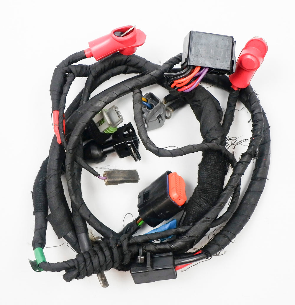 Rotax Max EVO Wiring Loom / Harness