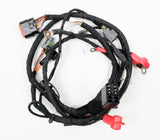 Rotax Max EVO Wiring Loom / Harness