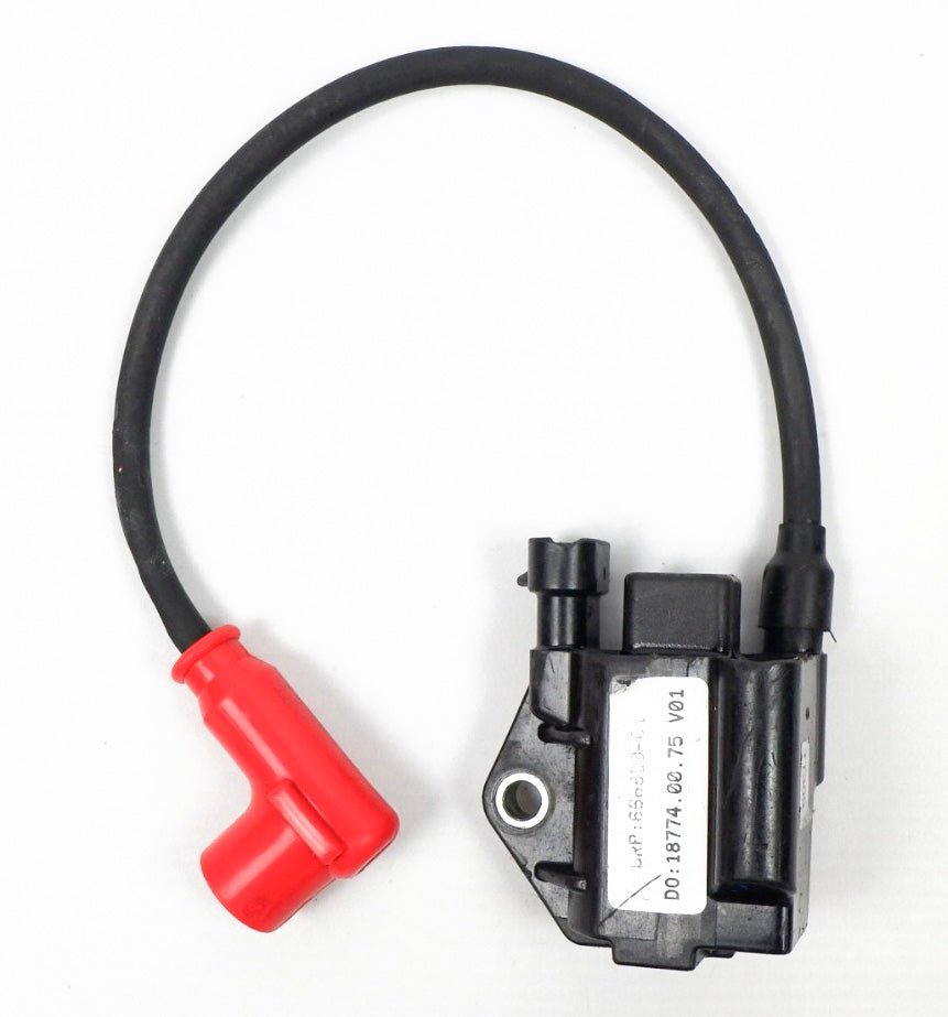 Genuine Rotax Max EVO Ignition Coil