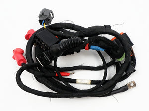 Rotax Max EVO Wiring Loom / Harness