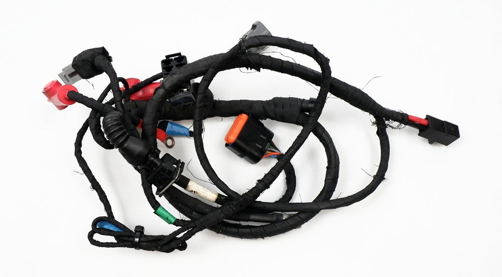 Rotax Max EVO Wiring Loom / Harness