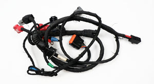 Rotax Max EVO Wiring Loom / Harness