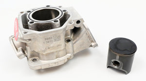 Junior Rotax Max EVO TP Engine Cylinder / Barrel with Matching Piston