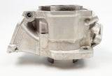 Junior Rotax Max EVO TP Engine Cylinder / Barrel with Matching Piston