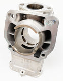 Junior Rotax Max EVO TP Engine Cylinder / Barrel with Matching Piston