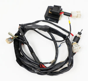 Selletra IAME Formula Blue Wiring Loom & ECU Assembly