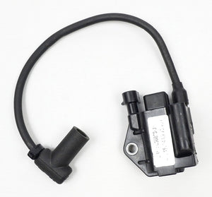 Genuine Rotax Max EVO Ignition Coil