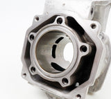 Senior Rotax Max EVO VT Engine Cylinder / Barrel