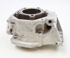 Senior Rotax Max EVO VT Engine Cylinder / Barrel