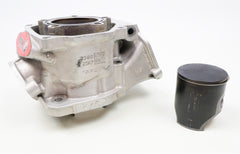Junior Rotax Max EVO KS Engine Cylinder with Matching Piston