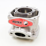 Junior Rotax Max EVO KS Engine Cylinder with Matching Piston