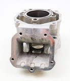 Junior Rotax Max EVO KS Engine Cylinder with Matching Piston