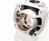 Junior Rotax Max EVO KS Engine Cylinder with Matching Piston