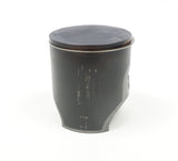 Junior Rotax Max EVO KS Engine Cylinder with Matching Piston