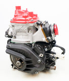 Junior Rotax Max EVO JAG Sealed Engine with New Style Cylinder
