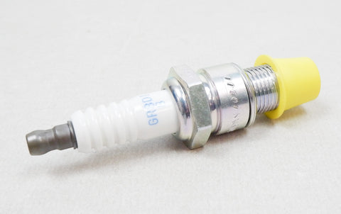 Genuine Rotax Max EVO NGK Engine Spark Plug GR8DI-8