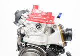 Senior Rotax Max EVO JAG Sealed Engine with New Style Cylinder