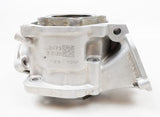 Junior Rotax Max EVO HZ Engine Cylinder with Piston
