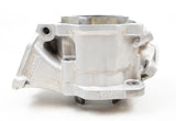 Junior Rotax Max EVO HZ Engine Cylinder with Piston