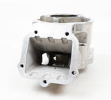 Junior Rotax Max EVO HZ Engine Cylinder with Piston