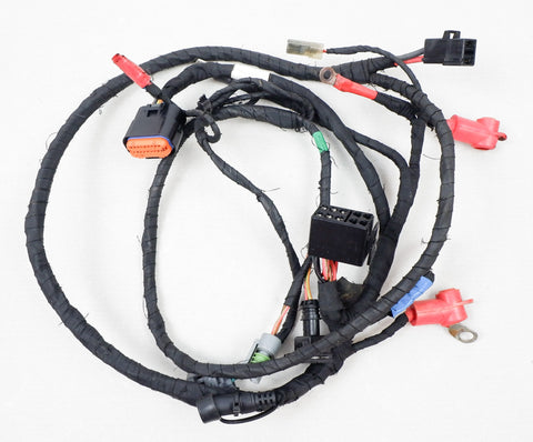 Rotax Max EVO Wiring Loom / Harness