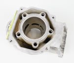 Junior Rotax Max EVO PK Engine Cylinder / Barrel