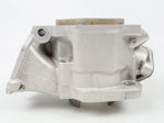 Junior Rotax Max EVO PK Engine Cylinder / Barrel