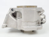 Junior Rotax Max EVO PK Engine Cylinder / Barrel