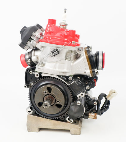 Senior Rotax Max JAG Sealed EVO Engine PF Cylinder