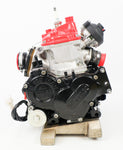 Senior Rotax Max JAG Sealed EVO Engine PF Cylinder