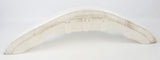 KG 507 Pearl Nose Cone
