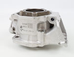 Senior Rotax Max EVO ZG Engine Cylinder / Barrel