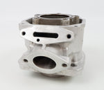 Senior Rotax Max EVO ZG Engine Cylinder / Barrel