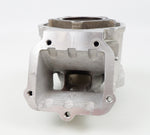 Senior Rotax Max EVO ZG Engine Cylinder / Barrel