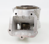 Senior Rotax Max EVO ZG Engine Cylinder / Barrel