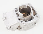 Senior Rotax Max EVO ZG Engine Cylinder / Barrel