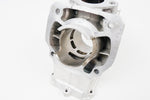 Senior Rotax Max EVO ZG Engine Cylinder / Barrel